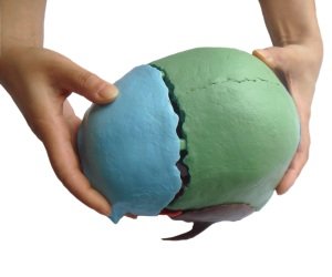 Wellden Medical Anatomical Adult Osteopathic Skull Model, 22-Part, Life Size, Didactic Colored #TOP4