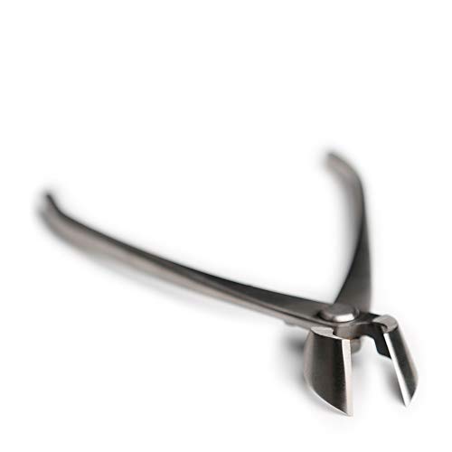 Tianbonsai JTS-06 Master'S Grade 165 Mm Branch Cutter Straight Edge Bonsai Branches Cutter 5Cr15Mov Alloy Steel Bonsai Tools thumb #2
