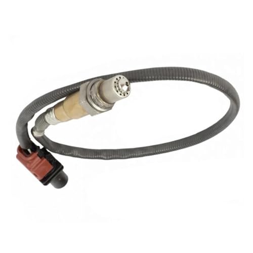 Capteur d'oxygène avant lambda F1FZ-9F472-A pour Ford Focus et C-MAX EcoBoost
