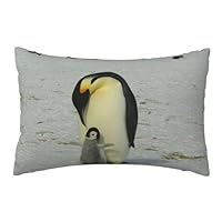 Pillow Cover,Decorative Throw Pillowcase Soft Cushion Covers 50x76 cm for Bedroom Sofa,Mother Penguin And Baby Penguin