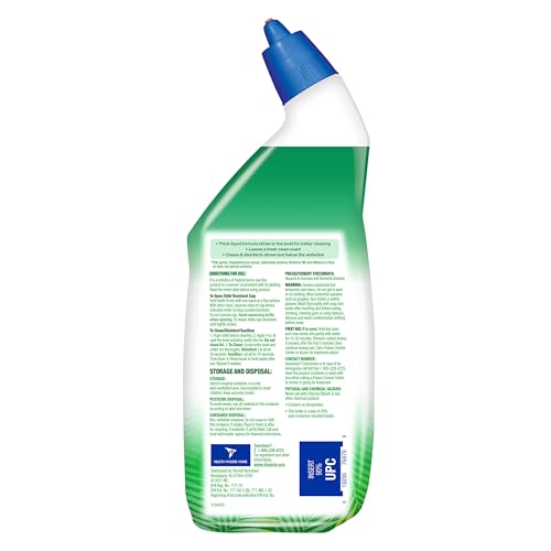 Image of Lysol Toilet Bowl Cleaner Gel, For Cleaning and Disinfecting, Stain Removal, Forest Rain Scent, 24oz (Pack of 2)