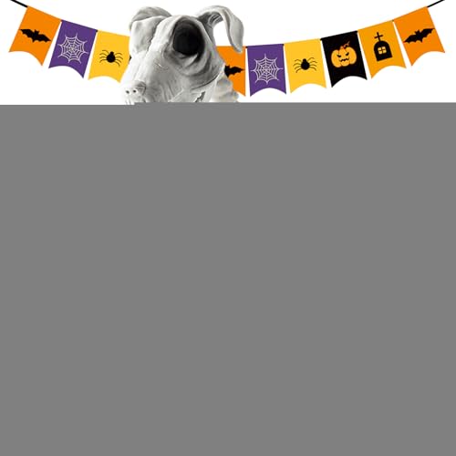 ̊[nEBÅ[ | ̊[nEB̌̍̓W,XPgnEBq̍̃XPgAnEBOAp[eB[p