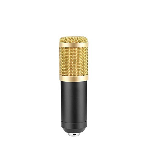 TiooDre Microphone à condensateur pour studio audio avec support antichoc pour diffusion de KTV doré