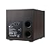 JBL Stage 2 200P 300 Watt 10 Inch Powered Subwoofer (Espresso)