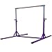 Z Athletic Elite Gymnastics Bar Adjustable Height for Kips, Training (Purple)