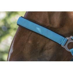 Norton Licol Fluo foderato, colore: Arancione, Taglia Equipaggiamento Cavallo