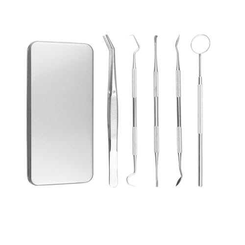 Plaque Remover for Teeth Portable Dental Tools Stainless Steel Dental Picks for Teeth Cleaning Oral Care for Adults Kids and Pets Tartar Remover for Teeth with Case for Daily Use - Image 4