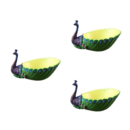 Pots de fleurs succulentes paon pour rompre la monotonie d'une décoration intérieure - 2