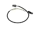 Rational Cooking Systems 40.05.296 Cable, Interior Light W40 Door