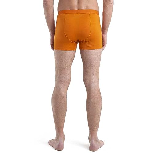 Icebreaker Merino Men's Anatomica Cool-lite Underwear-Boxers2