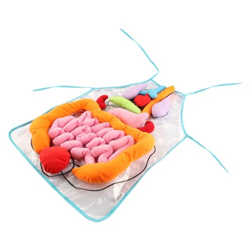 Tablier organes humains 3D pour s'amuser en famille et apprendre l'anatomie