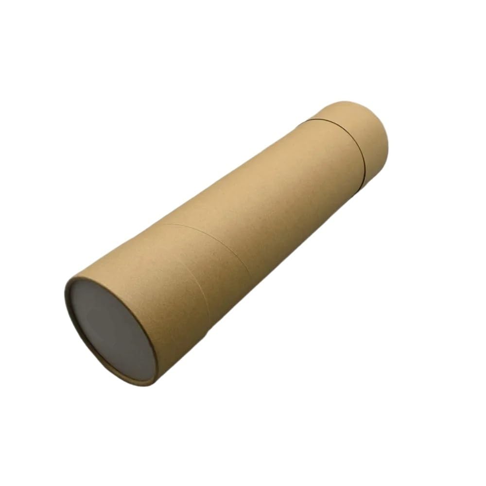 Correa de transferencia 675K72181 compatible con DC242, DC252, DC260 y 770 2