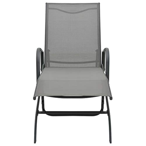 Ensemble Chaise Longue 2 pièces avec Table et Cadre Acier pour Jardin