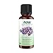 Produktbild Organic Essential Oils Lavender (30 ml) - Now Foods
