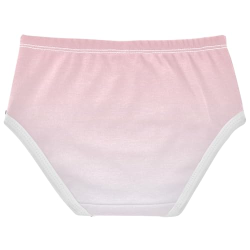 Joisal Cotton Toddler Underwear Floral Blush Pink Alice Blue Gradient Little Girl Panties Colorful Underpants Briefs 2t2