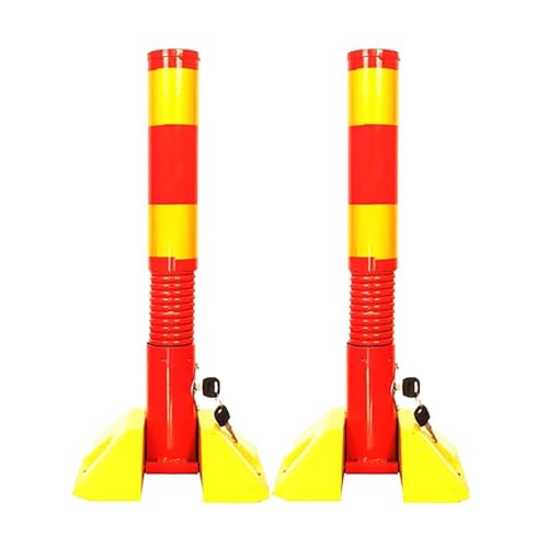 Contrôle du stationnement efficace grâce au pack de 2 bornes - 2