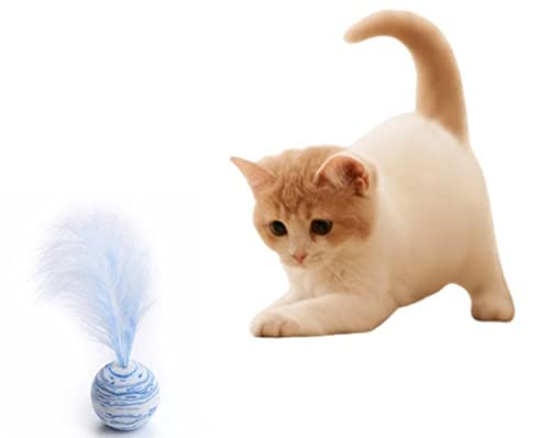 KUTKUTCat Toys Interactive Kitten | Training Balls Bite Resistant Cat Toys Interactive | Cat Toy Ball Scratch | Ball Cat Lattu Toy (Light Blue) (B0B9X7BZJX) Amazon Price History, Amazon Price Tracker