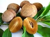 Fresh Sapodilla (Nispero) 3lb Fresh Sapodilla (Nispero) 3lb