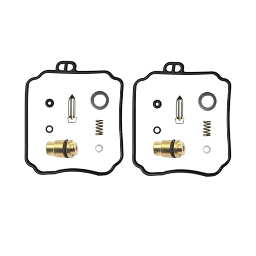Kit de réparation de carburateur pour V-Star 650 et XV250
