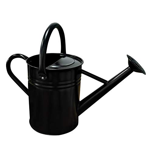 yourjoy Galvanized Metal Watering Can with Long Spout, 4L One Gallon Watering Can for Outdoor Indoor House Garden Plants, Black