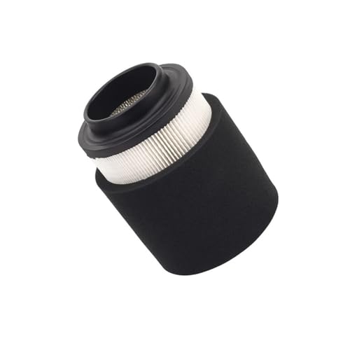 Filtre adapté pour 300 2X4 4X4 pièce moteur quad 200 329 400 250
