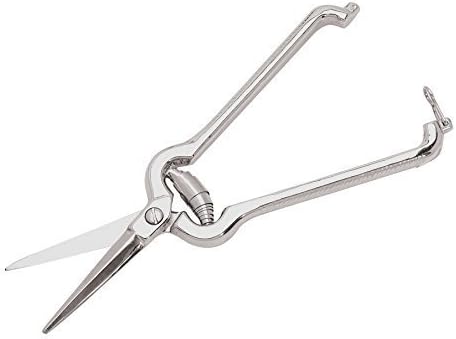 Nantucket Seafood Lobster Shears