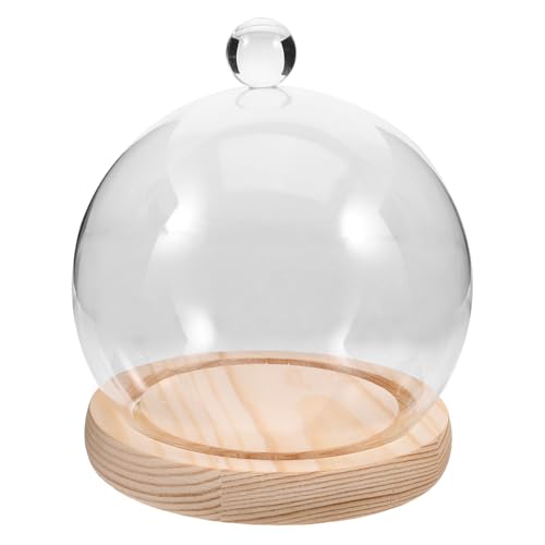 HOUDERCO KXNbVh[ ؐx[Xt ی^fBXvCP[X ỉԂ⏬Ǎiϗp hoJo[t  dpvU