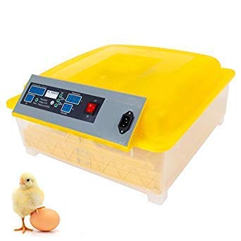 INDU20 - Digital 48 Egg Incubator Clear Hatcher Automatic Turner Chicken Poultry Duck Bird
