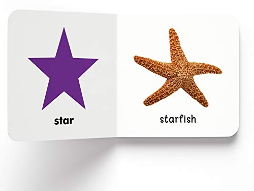 My First Book of Shapes: First Board Book