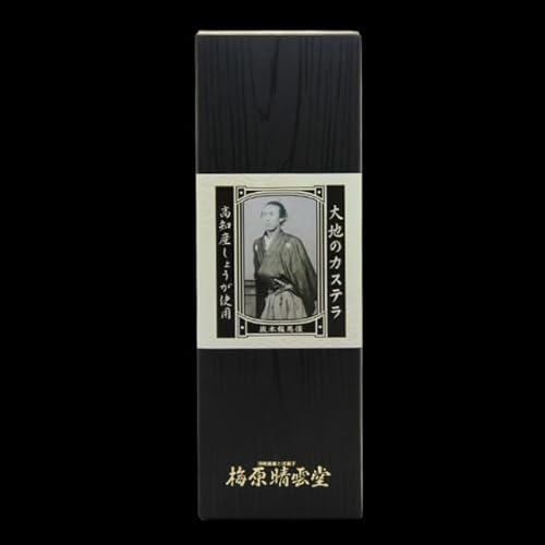 カステラ 選べる3種 醤油カステラ 卵カステラ 生姜カステラ 1本 スイーツ デザート 焼き菓子 ケーキ 醤油 しょうゆ 高知県 須崎市 (大地のカステラ)