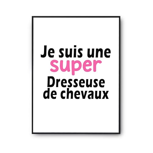 Dresseuse de chevaux affiche imprimé en France poster humour Otshirt