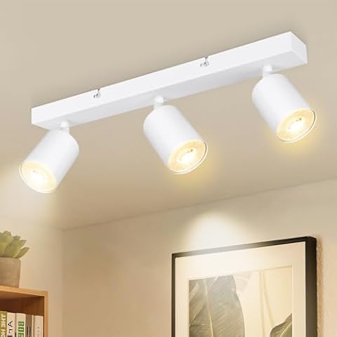 Dehobo Spot Plafond Orientable Cover
