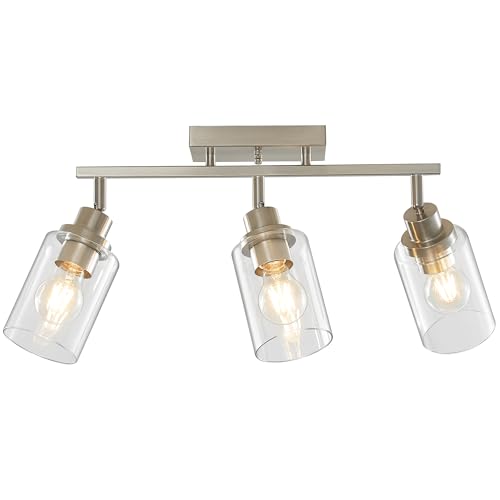 LOUSACE 3-Light Brushed Nickel Track Lighting Kit with Clear Glass,