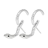 Pendientes de serpiente para mujer, accesorios de moda de aro de aleación, aretes de cartílago de animales, para adultos, hogar, diario, viajes, citas, bodas, trabajo, fiestas, Refer to description