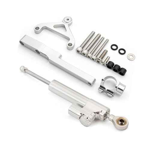 Support stabilisateur d'amortisseur de direction en carbone pour CB1000R 2008-2020