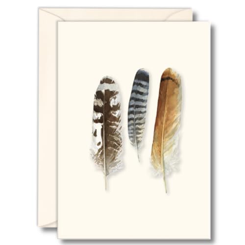 Elegantes tarjetas de notas de plumas de rapaz, set Earth Sky + Water con 8 tarjetas en blanco