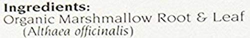 Marshmallow Leaf and Root Tea - 2 Pack (48 Bags Total)