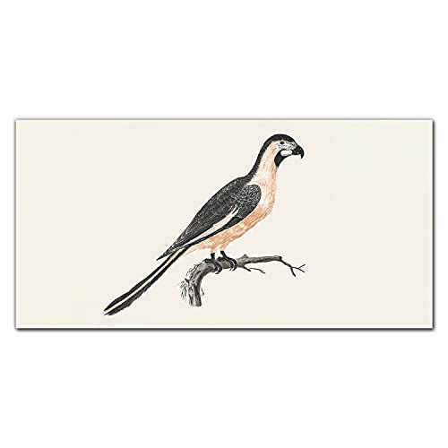 Impression sur verre acrylique haut de gamme au design artistique