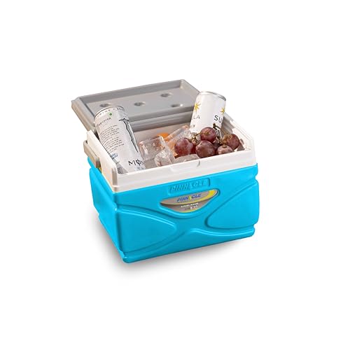 Pinnacle Prudence 4.5L Chiller Ice Box | Fits 6 Cans | Hold Ice Upto 24hrs | Lid Used as Tray | Portable Insulated Cooler IceBox for Car Travel,Camping,Parties,Medical,Picnics,Sports