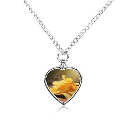 Collier urne funéraire pour cendres de chien, pendentif deuil chat Mexique