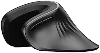 Tynerza Vertical Wireless Silent Mouse, Ergonomic Rechargeable Mute Mouse 1600 DPI Optical and Portable Office Cordless Mice for Computer Laptop for Medium or Large Right Hand