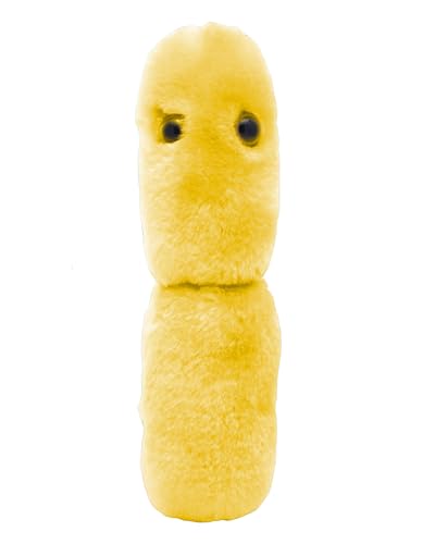 GIANTmicrobes Acidophilus Plush – Learn About Probiotics and The Gut Microbiome with This Educational Gift for Doctors, Students, Biologists, Educators and Anyone with a Healthy Sense of Humor