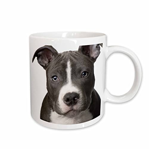 3dRose American Pit Bull Terrier Puppy 15oz Mug
