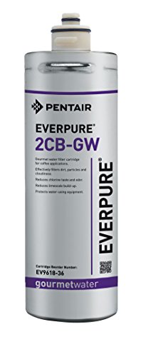 Everpure EV961831 Replacement Water Filter Cartridge