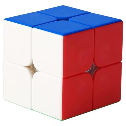 Moyu RS2M Magnetic 2x2 Speedcube Magic Cube Stickerless Mini Cube for Beginners