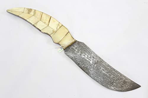 PH Artistic Dagger Knife Full Damascus Steel Blade Chip Handle Handmade D135