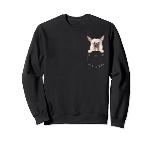 Chinese Crested Dog In Pocket Funny Dog Lover Sweatshirt, Black