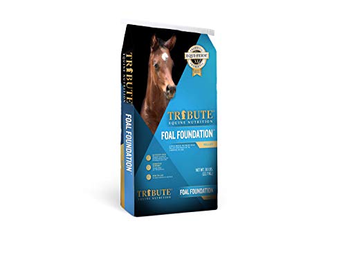 Kalmbach Feeds Tribute Foal Foundation for Horse, 50 lb