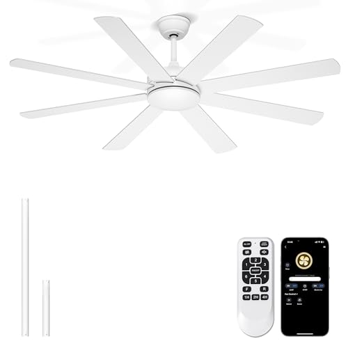 Phylluz 60'' White Ceiling Fan Without Lights for Indoor/Covered Outdoor