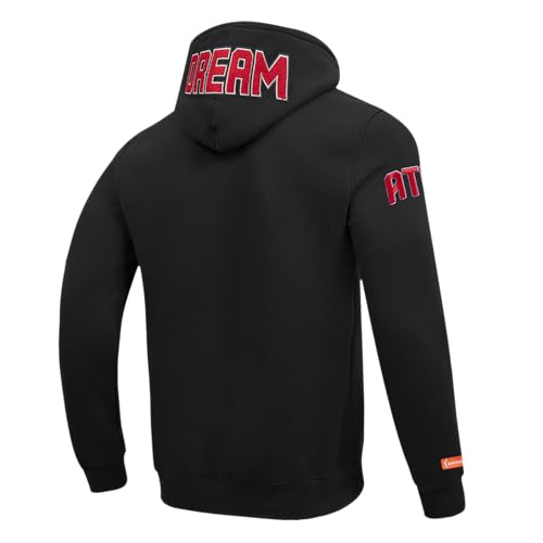 Image of Pro Standard Mens WNBA Classic Chenille Pull Over Hoodie